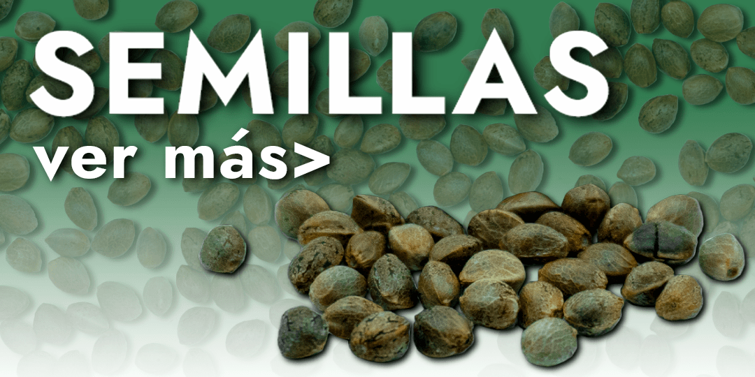 Tarjeta de acceso al catálogo de semillas de marihuana